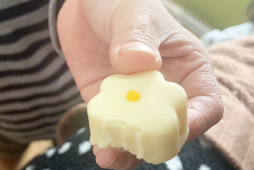 グランプラストリュフチョコレートの口コミ評判