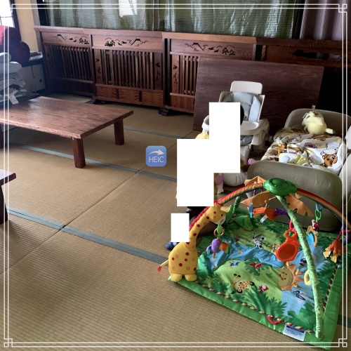 もちやキャンプ場予約方法 子供連れで行った感想を徹底レビュー！